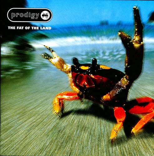 Prodigy: The Fat Of The Land ( Vinyl )