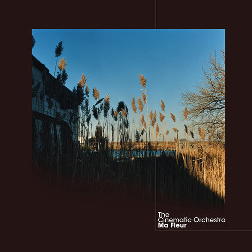 The Cinematic Orchestra: Ma Fleur ( Vinyl )