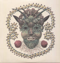 Akron/Family: Akron/Family ( Vinyl )