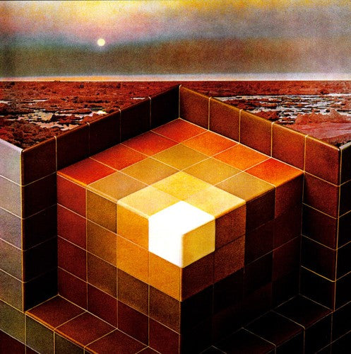 Black Mountain: In the Future ( Vinyl )