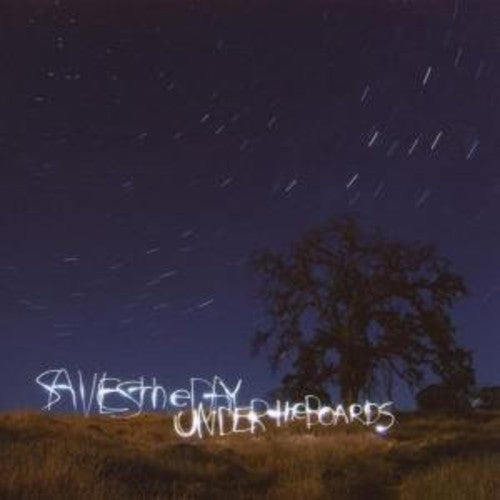 Saves the Day: Under the Boards ( Vinyl )