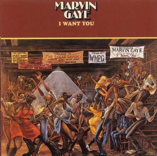 Marvin Gaye: I Want You ( Vinyl )