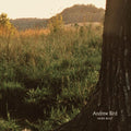 Andrew Bird: Noble Beast ( Vinyl )