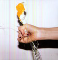 Yeah Yeah Yeahs: It's Blitz ( Vinyl )