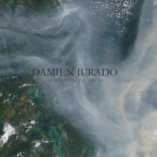 Damien Jurado: Caught in the Trees ( Vinyl )
