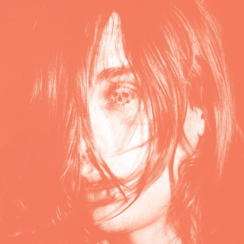 Deerhunter: Microcastle ( Vinyl )
