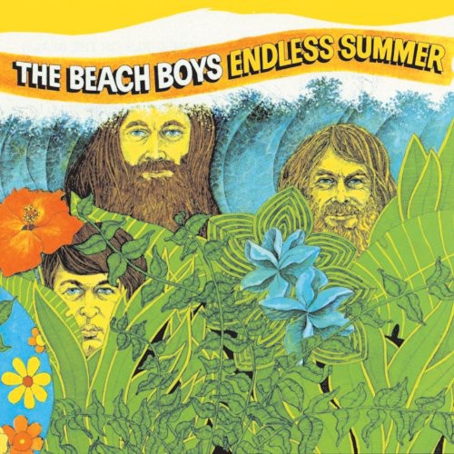 The Beach Boys: Endless Summer ( Vinyl )
