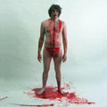 Jay Reatard: Blood Visions ( Vinyl )