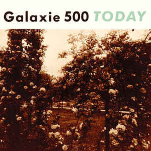 Galaxie 500: Today ( Vinyl )