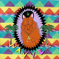 Wavves: King of the Beach ( Vinyl )