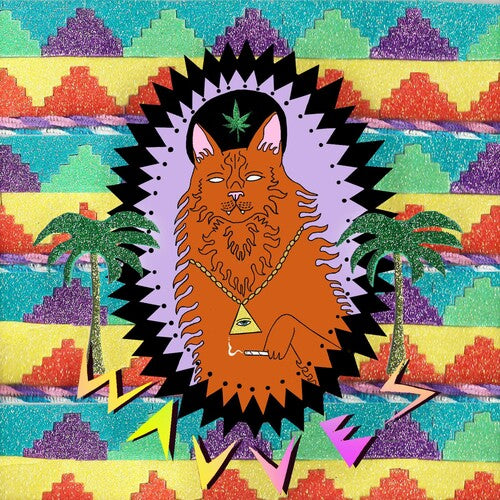 Wavves: King of the Beach ( Vinyl )