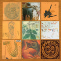 Califone: All My Friends Are Funeral Singers ( Vinyl )