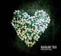 Alkaline Trio: This Addiction ( Vinyl )