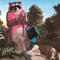 J.J. Cale: Naturally ( Vinyl )
