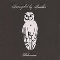 Trampled by Turtles: Palomino ( Vinyl )