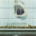 Black Mountain: Wilderness Heart ( Vinyl )