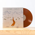 Vivian Girls: Share the Joy ( Vinyl )