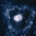 Swans: My Father Will Guide Me Up a Rope to the Sky ( Vinyl )