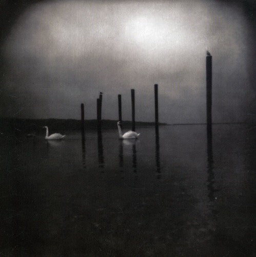 Om: Conference of the Birds ( Vinyl )