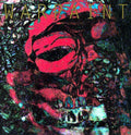 Warpaint: The Fool ( Vinyl )