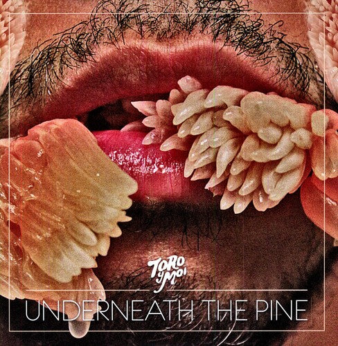 Toro y Moi: Underneath the Pine ( Vinyl )