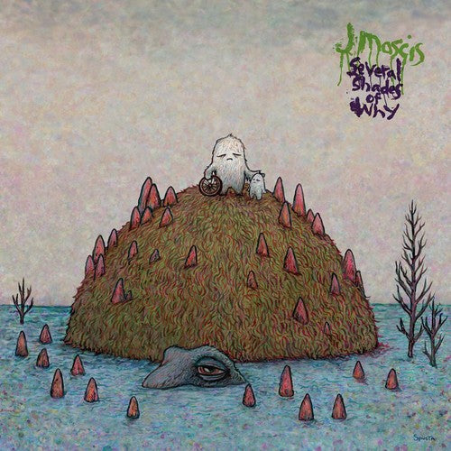 J Mascis: Several Shades of Why ( Vinyl )