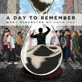 A Day to Remember: What Separates Me from You ( Vinyl )
