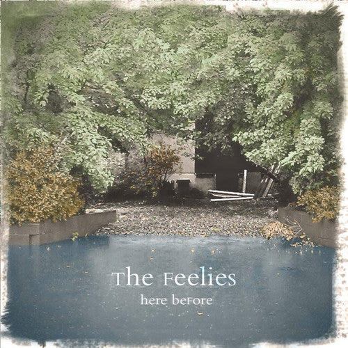 The Feelies: Here Before ( Vinyl )