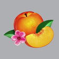 Phoenix: Bankrupt ( Vinyl )