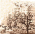 Trampled by Turtles: Duluth ( Vinyl )