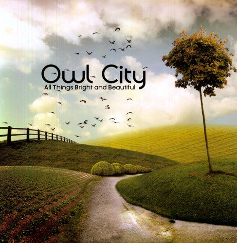 Owl City: All Things Bright and Beautiful ( Vinyl )