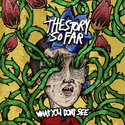 The Story So Far: What You Don't See ( Vinyl )