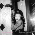Blood Orange: Coastal Grooves ( Vinyl )