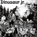 Dinosaur Jr.: Dinosaur Jr. ( Vinyl )