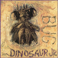 Dinosaur Jr.: Bug ( Vinyl )