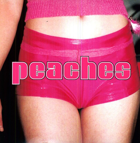 Peaches: The Teaches Of Peaches ( Vinyl )
