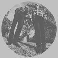 Ty Segall: Hair ( Vinyl )