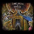 Lukas Nelson: Wasted ( Vinyl )