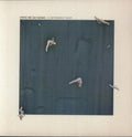 Here We Go Magic: A Different Ship ( Vinyl )