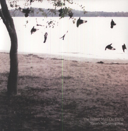 The Tallest Man on Earth: There's No Leaving Now ( Vinyl )