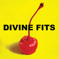 Divine Fits: A Thing Called Divine Fits ( Vinyl )
