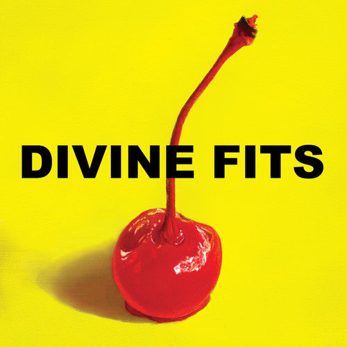 Divine Fits: A Thing Called Divine Fits ( Vinyl )