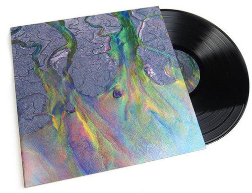 Alt-J: An Awesome Wave ( Vinyl )
