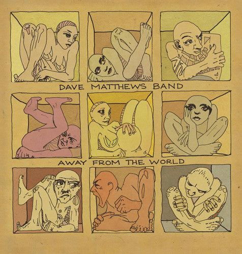 Dave Matthews: Away from the World ( Vinyl )