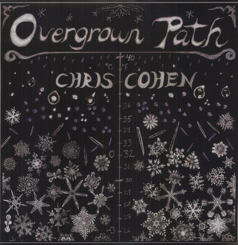 Chris Cohen: Overgrown Path ( Vinyl )