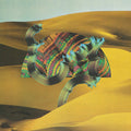 Django Django: Django Django ( Vinyl )