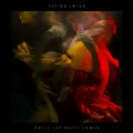 Flying Lotus: Until the Quiet Comes ( Vinyl )
