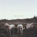 Foxing: Albatross ( Vinyl )