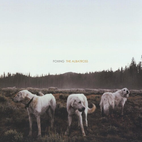 Foxing: Albatross ( Vinyl )