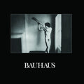 Bauhaus: In The Flat Field ( Vinyl )